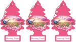 LITTLE TREES Car Air Freshener | Hanging Paper Tree for Home or Car | Morning Fresh | 3 Pack