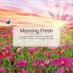 LITTLE TREES Car Air Freshener | Hanging Paper Tree for Home or Car | Morning Fresh | 3 Pack