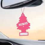 LITTLE TREES Car Air Freshener | Hanging Paper Tree for Home or Car | Morning Fresh | 3 Pack