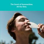 ulu Lagoon Hanging Car Air Freshener | Tropical Beach Coconut Surf Wax Scent Mini Wave | Long Lasting Car Freshener, Closet and Beyond | Made In USA | 3 Pack (White Palms)