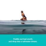 ulu Lagoon Hanging Car Air Freshener | Tropical Beach Coconut Surf Wax Scent Mini Wave | Long Lasting Car Freshener, Closet and Beyond | Made In USA | 3 Pack (White Palms)