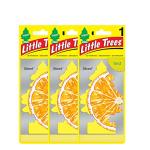 LITTLE TREES Car Air Freshener | Hanging Paper Tree for Home or Car | Sliced | 6 Pack