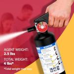 Ougist ABC Dry Powder Fire Extinguisher, 2.5 lb – 1-A:10-B:C Rated, Fire Extinguisher for Home, Kitchen, Office & Vehicle, Fire Extinguisher with Easy-Grip Handle & Quick Release, Model FF1KG,Black