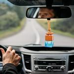 ikeda fragrance Car Air Freshener 8ml Automotive Scents | 45-Days Long-Lasting Keep Fragrance | Automobile Hanging Diffuser Bottles | Remove Auto Odor for Men Home Deodorizer (1pcs,New Car)