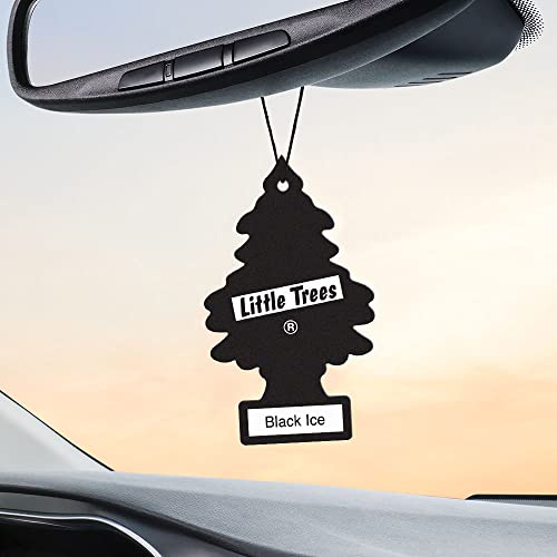LITTLE TREES Black Ice Car Air Fresheners - 24 Pack