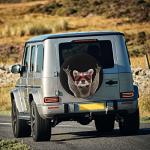 Spare Tire Cover Raccoon Wheel Tire Cover Waterproof Sun Protection Universal Fit for Trailers Rv SUV Truck Camper Travel 15 Inch