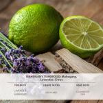 Car Air Freshener Hanging 2 Pack Car Air Fresheners Diffuser - Mahogany Teakwood Fragrance Oil Air Diffuser for Car, 45+ days Long Lasting Fragrance, Two 0.27 FL OZ/8ML Made in USA Car Air Fresheners