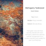 Hanging Car Air Freshener, Long Lasting Scent, Cute Air Fresheners for Women, 2 Pack Non-Toxic Essential Oil Diffuser, Made in USA