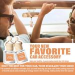 HoogaLife Car Air Freshener Diffuser 2 Pack Hanging Air Freshener Diffuser - Amber Vanilla Fragrance Oil Air D iffuser for Car, 45+ days Long Lasting Fragrance Made in USA C ar Air Fresheners