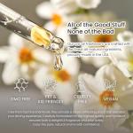 Hanging Car Air Freshener, Long Lasting Scent, Cute Air Fresheners for Women, 2 Pack Non-Toxic Essential Oil Diffuser, Made in USA