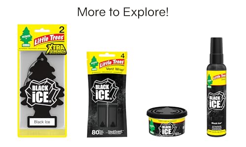 LITTLE TREES Black Ice Car Air Fresheners - 24 Pack