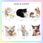 6Pcs Funny Car Air Freshener for Women Girls Men Cute Freshener Ornaments Cat Meme Funny Car Hanging Accessories