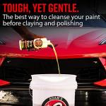 Adam's Polishes Strip Car Wash Soap (16 oz) - Sealant & Wax Remover Shampoo Salt Remover, Presoak, & Acidic Wash | Thick Suds For Use Cleaning Kit, Foam Cannon, Foam Gun, Sponge, Mitt, Chamois