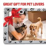 Bell Automotive 22-1-46104-8 Paw Prints License Plate Frame, Corrosion Resistant, Easy to Install