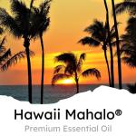 Air Jungles Hawaiian Scent Car Air Freshener Clip, 6 Vent Clips, 4 ml Each, Long Lasting Air Freshener, Up to 180 Days Car Refresher Odor Eliminator