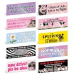 Yoppix 10PCS Funny Car Bumper Magnet, New Driver Magnet Prank Magnetic Sticker for Car Truck Metal, Hot Girls Hit Curbs New Driver Please Be Patient Waterproof Reusable