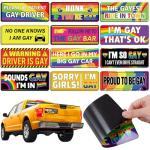 12 Pcs Funny LGBT Rainbow Magnet Stickers