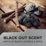 Ace Car Air Freshener - Black Out Scent, 2 Pack