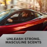 Ace Car Air Freshener - Black Out Scent, 2 Pack