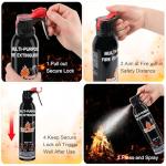 Fire Extinguisher for Home, 2 Pack Vehicle Fire Extinguishers with Mount, Portable Fire Extinguisher Effective on A, B, C, K Fires, Water-Based Extinguisher for Car Boat Office Truck Kitchen Garage RV
