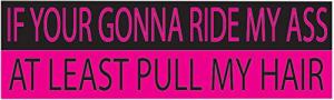 Rogue River Tactical 10in x 3in Large Funny Auto Decal Bumper Sticker for Women Girls If Your Gonna Ride My Ass at Least Pull My Hair for Car Truck RV Boat SUV (Pull My Hair)