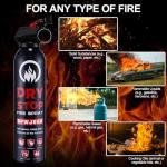 2Pack Dry Stop Fire Spray for Home - Auto Fire Extinguisher for Truck Vehicle, 600g Dry Chemical Powder A B C Fire Extinguisher for Kitchen, Car, Boat, Marine, Portable Use (2 Blue)