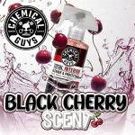 Chemical Guys Total Interior Cleaner & Protectant 2 Pack 16 oz Each Black Cherry Scent All-in-One Interior Cleaner for Leather, Vinyl, Plastic, Glass, Carpet & More