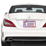 Pink Metal License Plate Frames - 2 Pack