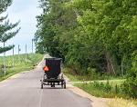 High-Visibility Safety Triangle for Golf Carts