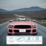 Cherry Blossom Pink License Plate Frames - 2 Pack