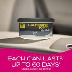 California Scents Spillproof Air Fresheners - Set of 12