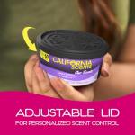 California Scents Spillproof Air Fresheners - Set of 12