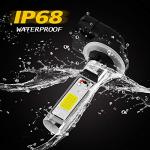 AUXLIGHT Super Bright LED Fog Light Bulbs 6000K