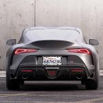 Funny Pet Paw License Plate Frame for Cars