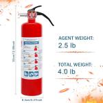 2.5 lb ABC Dry Chemical Fire Extinguisher
