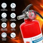 2.5 lb ABC Dry Chemical Fire Extinguisher
