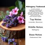 Cute Car Air Freshener - Long Lasting Essential Oil