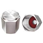 Brass Tire Valve Caps - 8 Pack Universal Fit