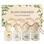 Hanging Car Air Freshener Oil Diffuser Set