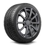BFGoodrich G-Force Comp-2 All-Season Radial Tire