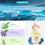 Hanging Car Air Freshener Oil Diffuser Set