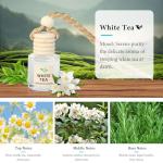 Hanging Car Air Freshener Oil Diffuser Set