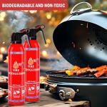 Compact Dry Chemical Fire Extinguisher 2-Pack