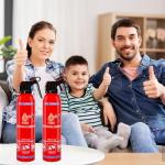 Compact Dry Chemical Fire Extinguisher 2-Pack