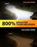 OXILAM H7 Super Bright 6500K Fog Light Bulbs