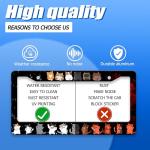 Funny Cat License Plate Frame - Stainless Steel