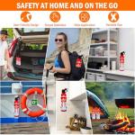4-Pack Portable Fire Extinguisher with Wall Mount