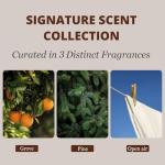 Wood Car Air Freshener - 3 Pack Variety