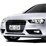 Woodland Fern Dragonfly License Plate Frame Set