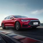 Gothic Spider Web License Plate Frame